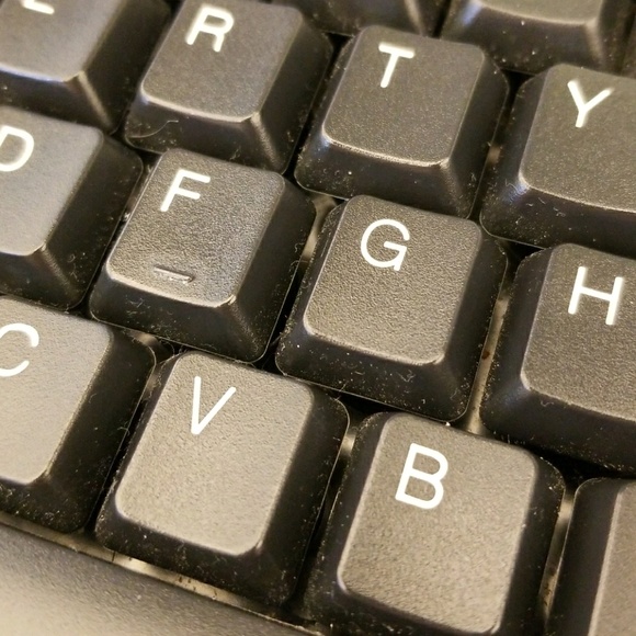 Meet your Posher, Elisa - Picture 1 of 1